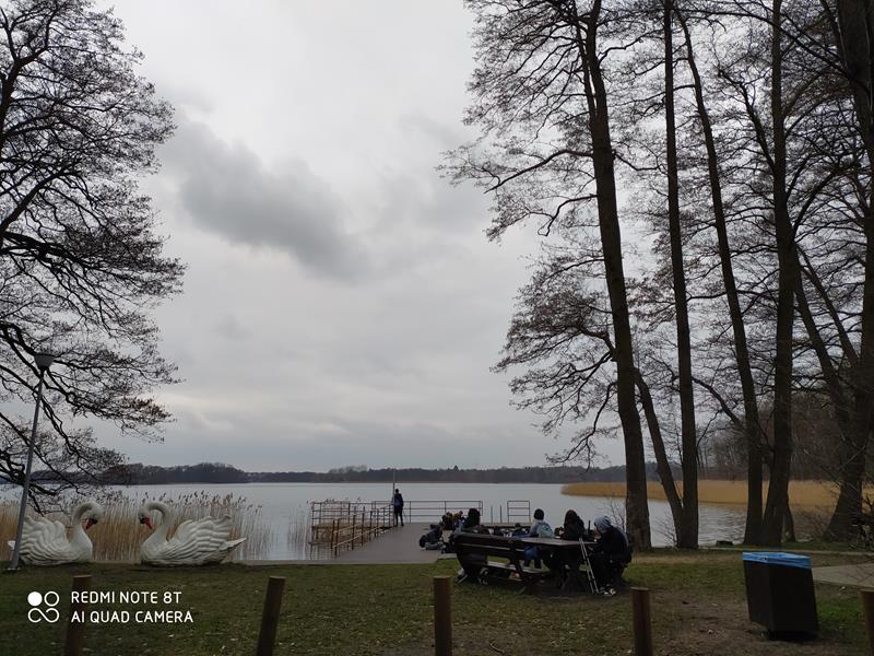 Zdjęcie 12